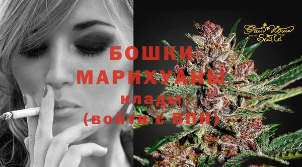 крисы Ладушкин