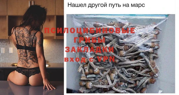мдпв Мамадыш