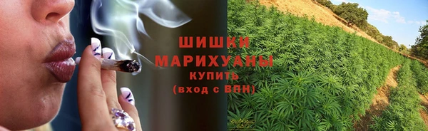 крисы Ладушкин