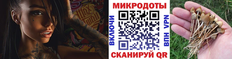 сайты даркнета какой сайт  Кисловодск  Галлюциногенные грибы прущие грибы 