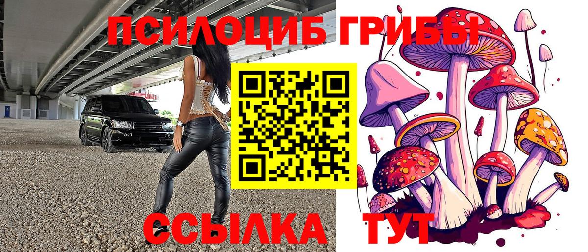 Псилоцибиновые грибы Magic Shrooms Кисловодск