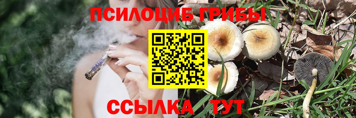 Псилоцибиновые грибы Psilocybe  Галлюциногенные грибы ЛСД  Кисловодск  Вход с VPN 